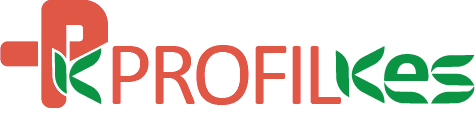 Profilkes Logo